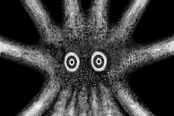 Kraken магазин