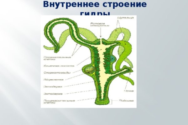 Зеркало тор браузера