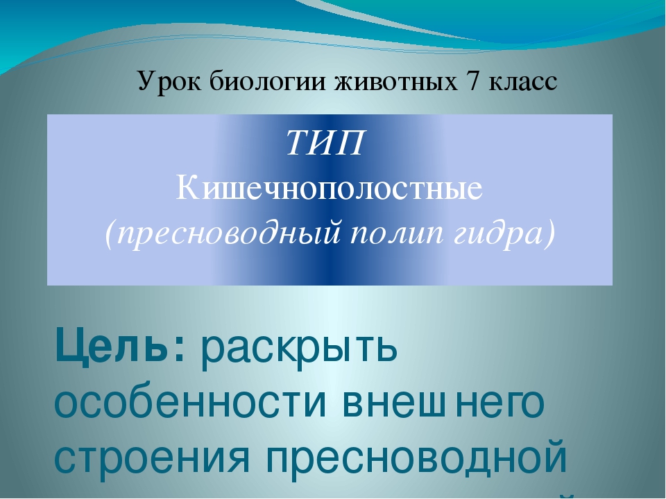 Где найти ссылку на кракен
